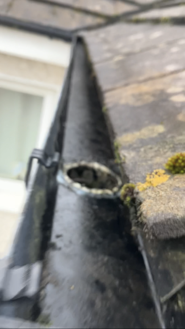 clean gutter